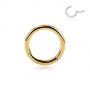 0,8mm Titan Segmentring Clicker Gold PVD