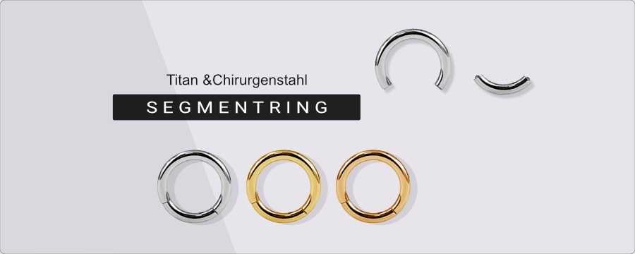 Segmentring